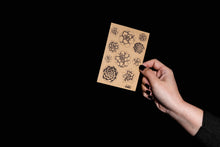 Load image into Gallery viewer, succulents kraft paper stickers takkti