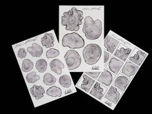 Load image into Gallery viewer, tree stumps stickers - takkti