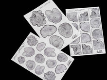 Load image into Gallery viewer, tree stumps stickers - takkti