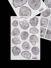 Load image into Gallery viewer, tree stumps stickers - takkti
