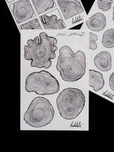 Load image into Gallery viewer, tree stumps stickers - takkti